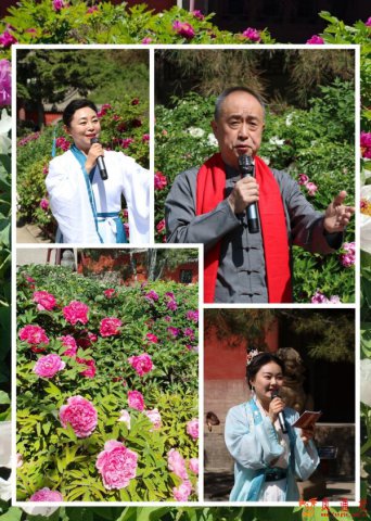 “晋韵牡丹 阅见芳华” ——晋祠牡丹盛会系列文化活动圆满举办